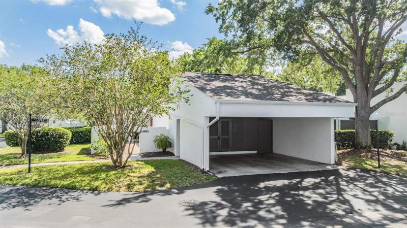 Carrollwood Village Cypress Cl