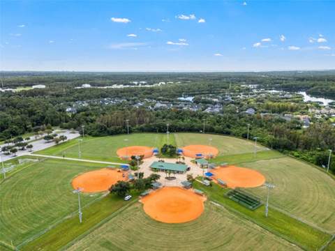 14614 Canopy Drive, Tampa FL - photo 12 of 14