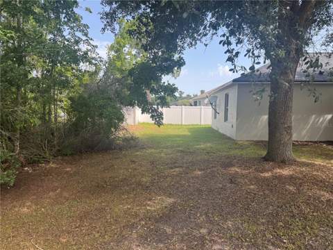 760 Palaiseau Court, Kissimmee FL - photo 8 of 37