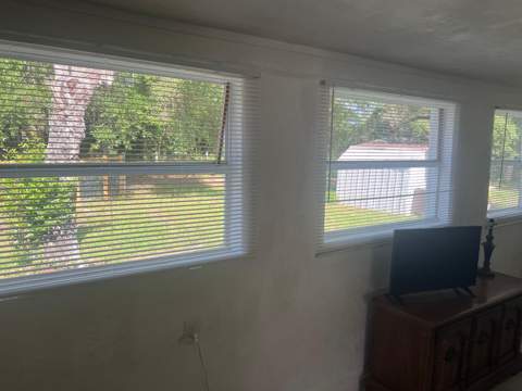20456 SE 140th Street, Umatilla FL - photo 22 of 41
