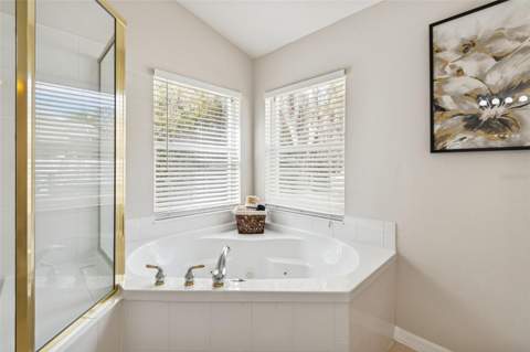 353 Bay Arbor Boulevard, Oldsmar FL - photo 22 of 29