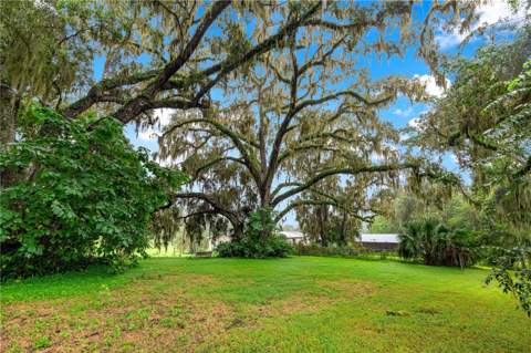 5135 SE 125th Street, Belleview FL - photo 22 of 71