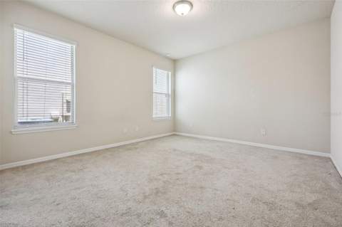 10294 Merrymeeting Bay Drive, Winter Garden FL - photo 20 of 56