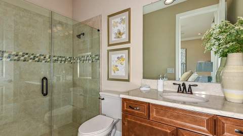 30189 Imperati Boulevard, Wesley Chapel FL - photo 17 of 35