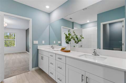 10065 Gentle Rain Drive, Land O Lakes FL - photo 19 of 52