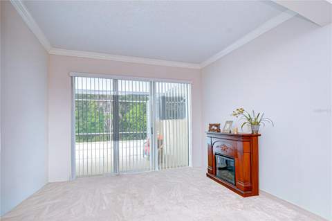 9815 Gingerwood Drive, Tampa FL - photo 9 of 48