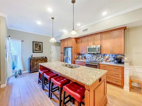 1722 Arabian Lane, Palm Harbor FL - photo 11 of 78