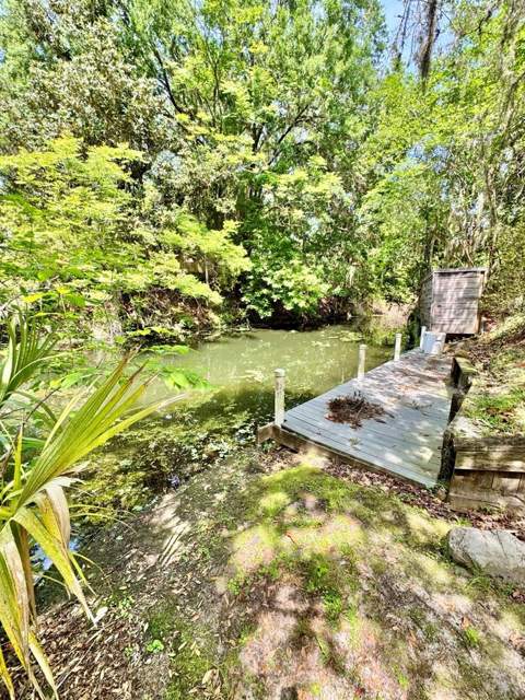 30391 NE 97th Place, Salt Springs FL - photo 7 of 43