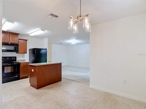 30541 Satinleaf Run, Brooksville FL - photo 19 of 54