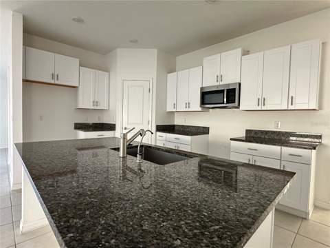 5380 Blue Horizon Way, Wimauma FL - photo 6 of 23