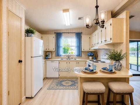 4919 Blanco Drive, Zephyrhills FL - photo 8 of 26