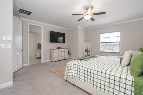 8099 Lago Mist Way, Wesley Chapel FL - photo 21 of 56