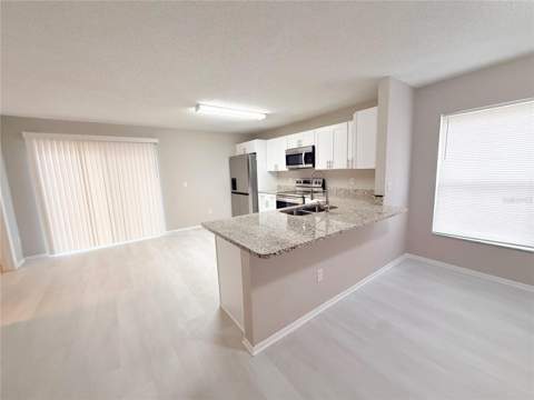 4417 Ribblesdale Lane, Orlando FL - photo 6 of 18