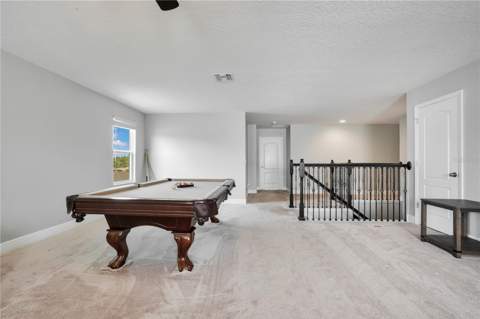 1321 Wildcat Lane, Minneola FL - photo 24 of 54