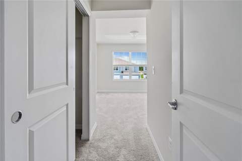 2609 Bright Jewel Street #2909, Kissimmee FL - photo 20 of 47
