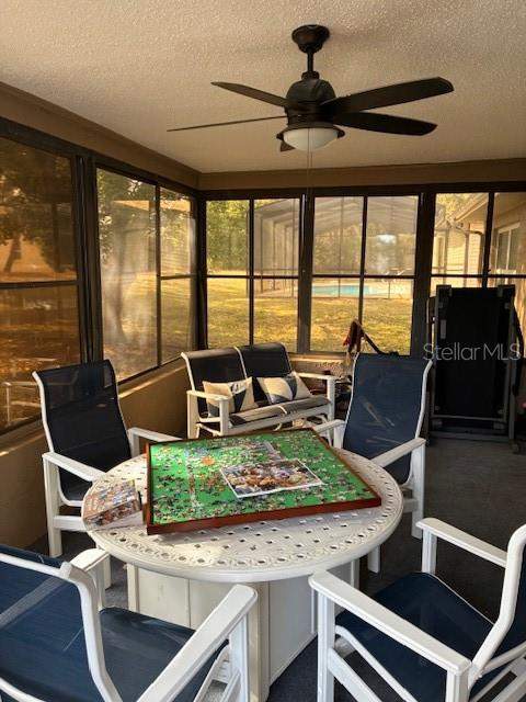 7421 Glasgow Road, Weeki Wachee FL - photo 11 of 11