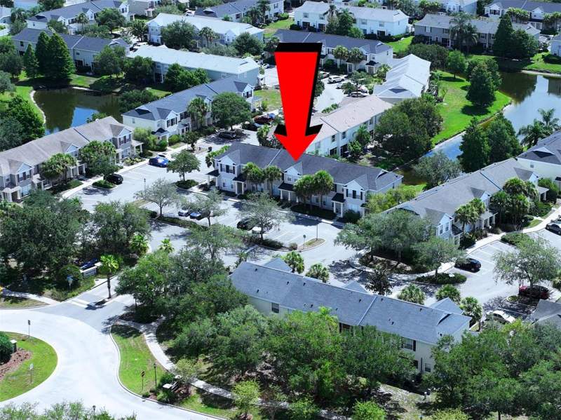 2 bedroom Townhouse at 12207 Country White Circle, Country Chase, Tampa — photo 4