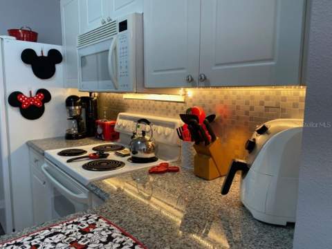 8110 Princess Palm Lane, Kissimmee FL - photo 13 of 63