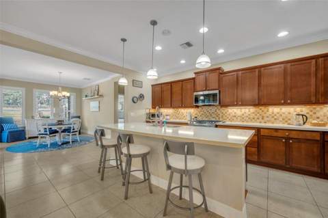 115 Salt Marsh Lane, Groveland FL - photo 16 of 45