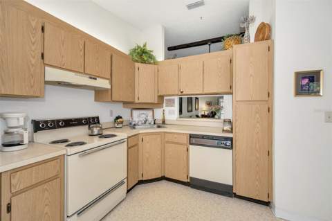1333 Shady Pine Way #F, Tarpon Springs FL - photo 9 of 43