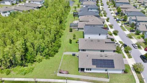 9723 Coneflower Court, Land O Lakes FL - photo 6 of 32