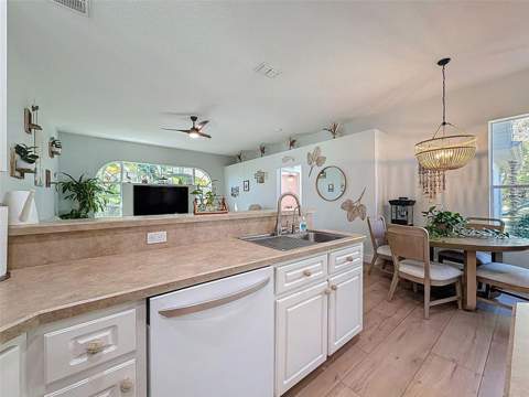 3365 Indian River Street, Spring Hill FL - photo 10 of 38