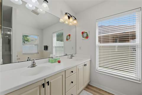 19406 Sunset Bay Drive, Land O Lakes FL - photo 23 of 48