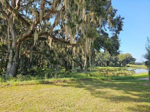 8712 Barragan Drive, Wildwood FL - photo 21 of 24