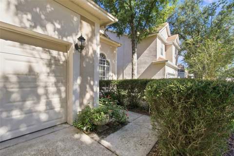 17708 Long Ridge Road, Tampa FL - photo 8 of 99