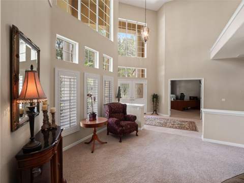17422 Heather Oaks Place, Tampa FL - photo 11 of 78