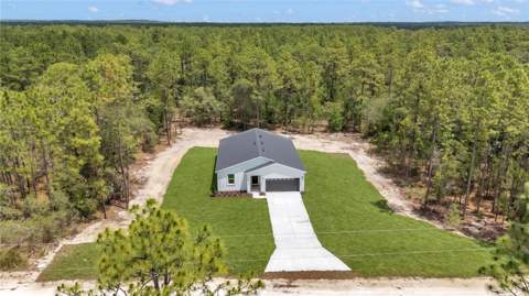 12197 SW 76 Lane, Dunnellon FL - photo 9 of 15