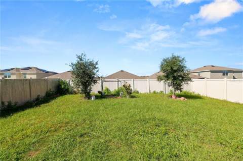 16709 Parker River Street, Wimauma FL - photo 24 of 26