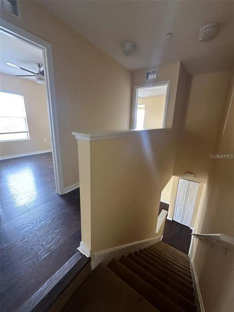 4405 Tuscan Loon Drive, Tampa FL - photo 10 of 24