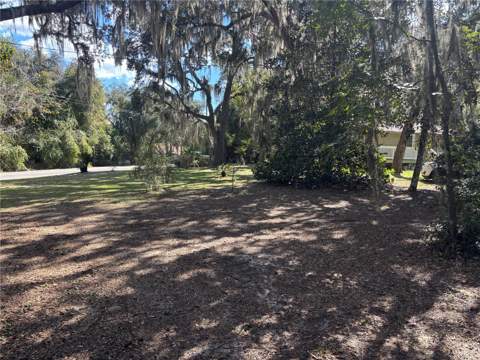 5870 SE 166th Court, Ocklawaha FL - photo 7 of 24