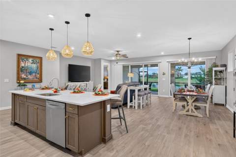 11627 Myakka Blue Drive, Venice FL - photo 8 of 77