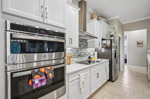 17022 Forge Surf Street, Land O Lakes FL - photo 11 of 62