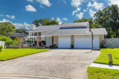 1496 Treetop Drive, Palm Harbor FL - photo 6 of 6