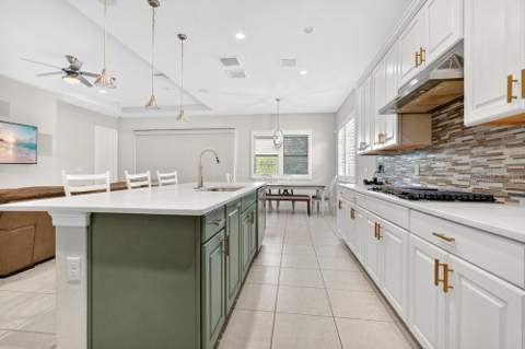 15607 Sylvester Palm Drive, Winter Garden FL - photo 10 of 37