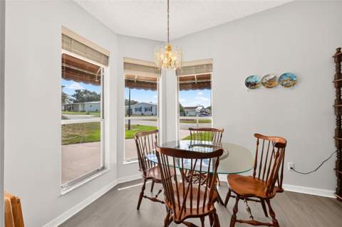 1207 Palmetto Drive, The Villages FL - photo 11 of 71