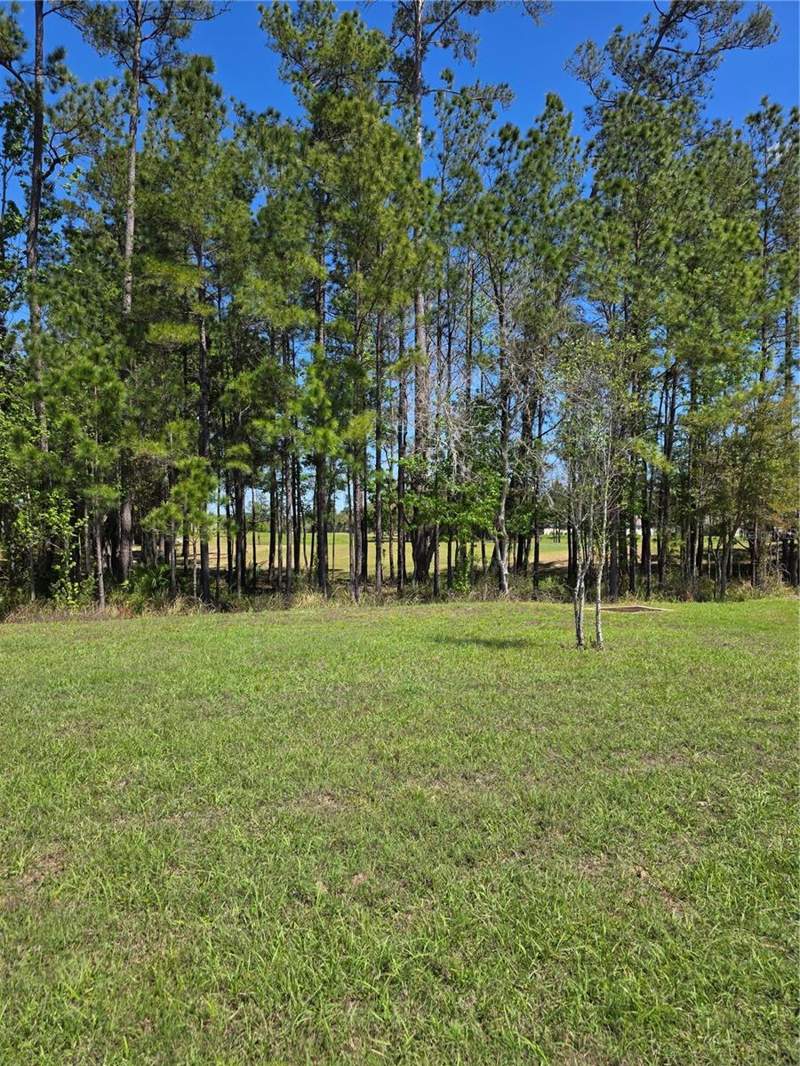 4 bedroom Single Family Residence at 5058 Diantha Way, Hernando Oaks Ph 3, Brooksville — photo 3