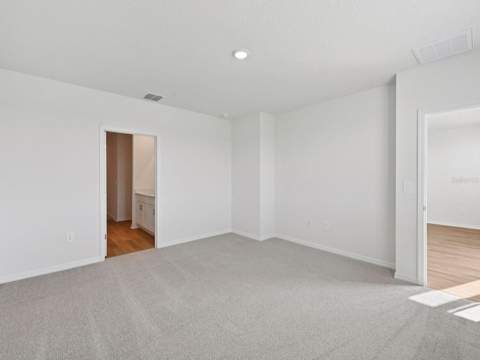 11267 Bellewood Terrace, Parrish FL - photo 16 of 35