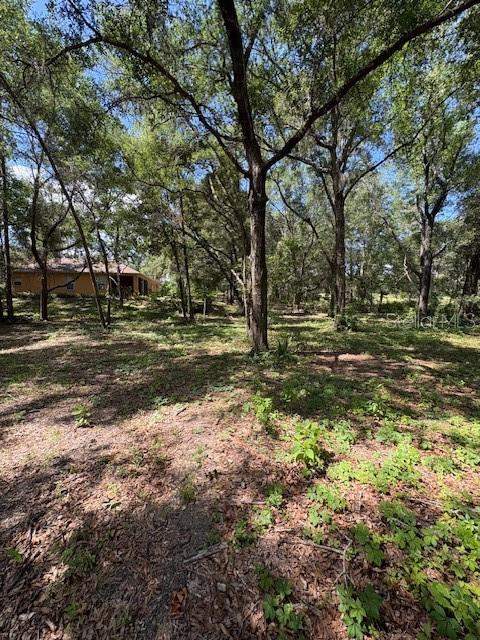 3 bedroom Single Family Residence at 9273 SW 197th Cir, Rainbow Spgs Country Club Estate, Dunnellon — photo 5