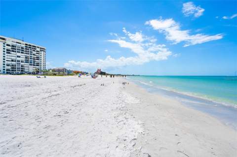 4103 Gulf Boulevard #201, St Pete Beach FL - photo 21 of 25