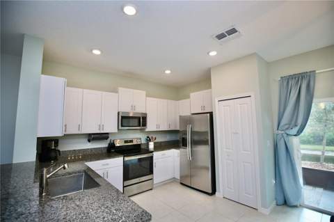 17620 Nectar Flume Drive, Land O Lakes FL - photo 7 of 58