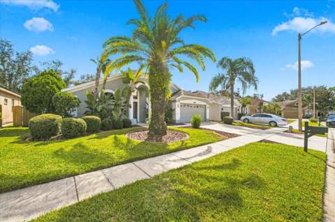 18009 Palm Breeze Drive, Tampa FL - photo 7 of 63
