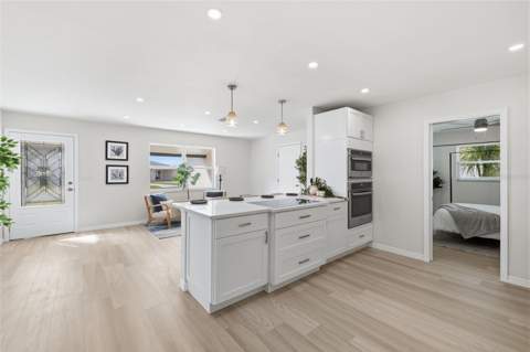 1027 27th Avenue, St Petersburg FL - photo 9 of 33