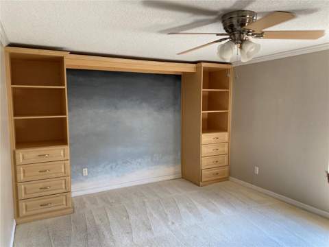 313 S Observatory Drive, Orlando FL - photo 11 of 22
