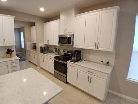 29900 Walsh Oak Drive, Wesley Chapel FL - photo 24 of 87
