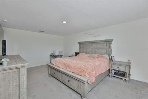 5244 Fiddle Fig Avenue, Wimauma FL - photo 20 of 51