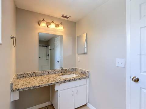 6701 Village Grove Court, Tampa FL - photo 21 of 39